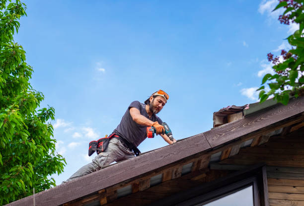 Best Roof Ventilation Installation  in Cosmopolis, WA